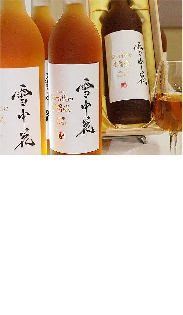 「貴腐ワイン」写真