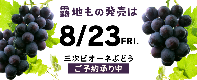 露地ピオーネ予約承り中