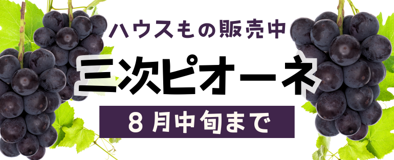 三次ピオーネぶどう販売中